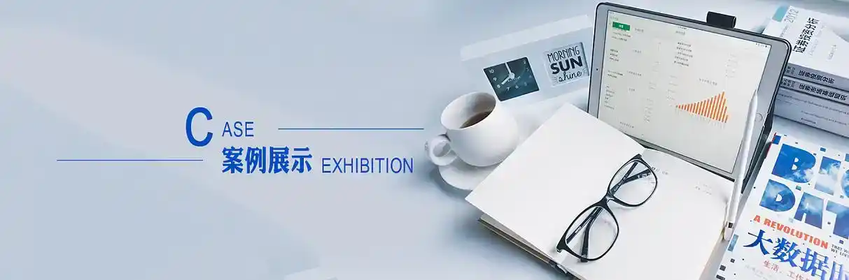 万年县软件开发
